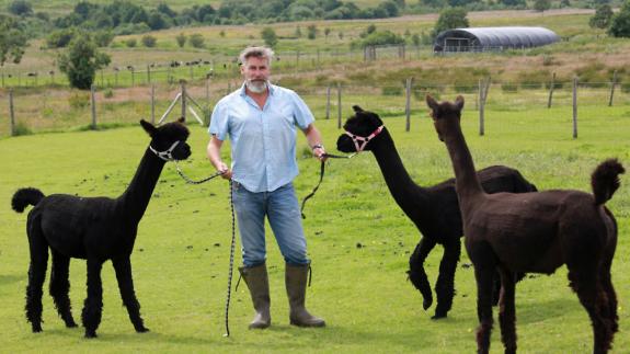 Great British Life: Harvey Brown and his Blackberry Alpacas at Laneshawbridge Great British Life: Harvey Brown and his Blackberry Alpacas at Laneshawbridge
