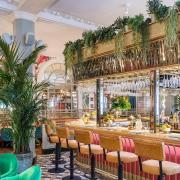 The Ivy is a feast for the senses