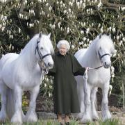 Long to rein over us - The Queen with her beloved fell ponies