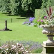 Gardens at Goldsborough have opened to the public under the NGS for over 90 years