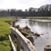 The River Stour runs through the water meadows at Sudbury that are East Anglia’s oldest continuously grazed pastures.