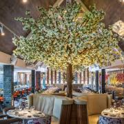 The showstopping cherry blossom trees at Pavilion Restaurant