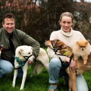 Pen Farthing and his wife Kaisa back home in Exeter with their dogs.