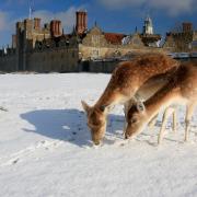 Winter at the beautiful Knole Park