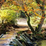 Tarr Steps, a Clapper bridge across the River Barle in the Exmoor National Park, is a magnificent sight at any time of year