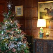 Christmas Tree at Arley Hall
