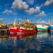 Many of the big colourful fishing boats moor against The Mary Williams Pier