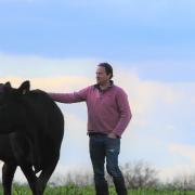 Wild and Rooted Farming in Essex produce sustainable, home-reared beef while giving back to the environment