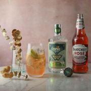Try these simple cocktail recipes using Somerset cider