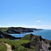 The South West Coast Path in North Devon, not far from Hartland Quay. Photo: Simone Stanbrook-Byrne