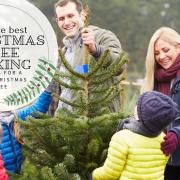 BEST PLACES TO BUY A CHRISTMAS TREE
