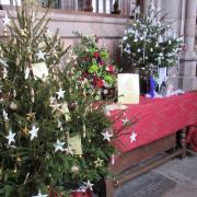 Decorative Christmas trees in Crediton’s Christmas Tree Festival. The town celebrates its association with St Boniface. Photo: Simone Stanbrook-Byrne