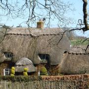 Picturesque thatched cottage, Pinkney Lane