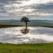 A dew pond, at Ditchling Beacon in East Sussex. Photo: Getty Images/iStockphoto