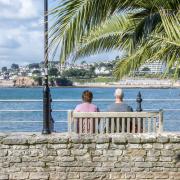 The palm tree-lined seafront looks like it could be on the Spanish coast: Photo: The English Riviera BID Company