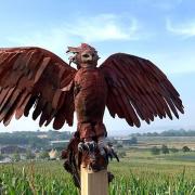 Reborn Phoenix Rising by Brendan Rawlings can be seen on the Darts Farm Sculpture Trail. Former Exeter Chiefs rugby player Brendan, from Woodbury Salterton, makes breath-taking creations from driftwood collected from local beaches. Photo: Darts Farm