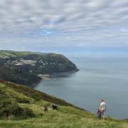 Walking the dogs over Countisbury, Exmoor. Photograph Tor McIntosh/South West Coast Oath Association