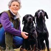 Tracey Kavanagh with her dogs Tor (left) and Rea (right)