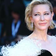 Cate Blanchett walks the red carpet at last year's Venice Film Festival (Matteo Chinellato/Shutterstock.com)