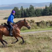 Sara Cox riding out with a magnificent Dartmoor backdrop behind her