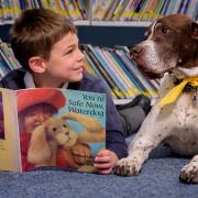Taboo the dog who helps children reading (Photo by Jim Holden)