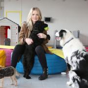 Melissa Wavell of The Dog Haus