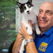 Adrian Ferne, manager for Cats Protection at Bredhurst with Chloe, two, a rescued stray