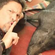 Dom Joly lets Wilbur get some beauty sleep