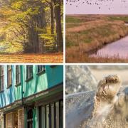 We've gathered some of the best walks in Norfolk (photos: Getty Images)