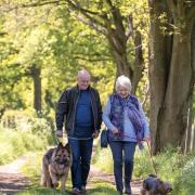 Alison Steadman and Dave Johns in a scene from the film 23 Walks which is released on September 25th
