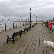 A doggy day out in& Harwich