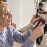 Putting the final touches to Archie's wedding suit is Jenny Tunnah with her four- year-old  rescue dog. (Photography: Milton Haworth)