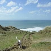 Huge sand dunes on way down to the beach at perran sands, perranporth