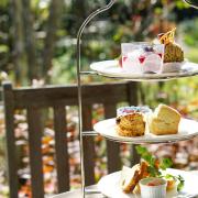 Afternoon tea deals and offers in Essex