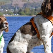 Max and Paddy at Derwent Water