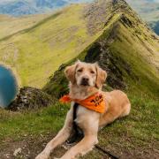 Cher shows she has a head for heights at Striding Edge