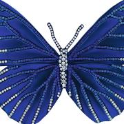 The titanium Morpho butterfly brooch from Selini