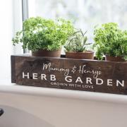 Planting your own herb garden