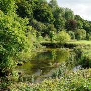 The River Lathkill - beautiful and tranquil