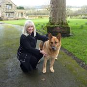 Sam and Buster relax at home after a good walk in the countryside around their West Yorkshire home