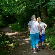 Walking through the woodland Lancashire Life has adopted