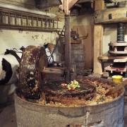 Cider-making at Apple Day at The Folk of Gloucester