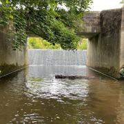 The weir pre-project