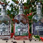 Nantwich Gin, Sweet Briar Gin and Matron's Strength, all lined up and ready for the cocktail shaker