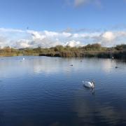 Visiting wetlands is part of 'social prescribing' as it has so many mental health and wellbeing benefits