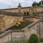 Spot the robo-dog runs down the steps to the Lower Water Terrace at Blenheim Palace
