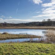 Potteric Carr - wetland reserves are always wonderful in the winter
