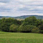 The walk enjoys big views across the East Devon countryside