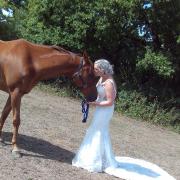 Horse JD was a key part of  Jessica Bailey and Jamie Thurston's wedding