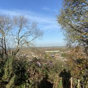 View from the top of Rayleigh Mount